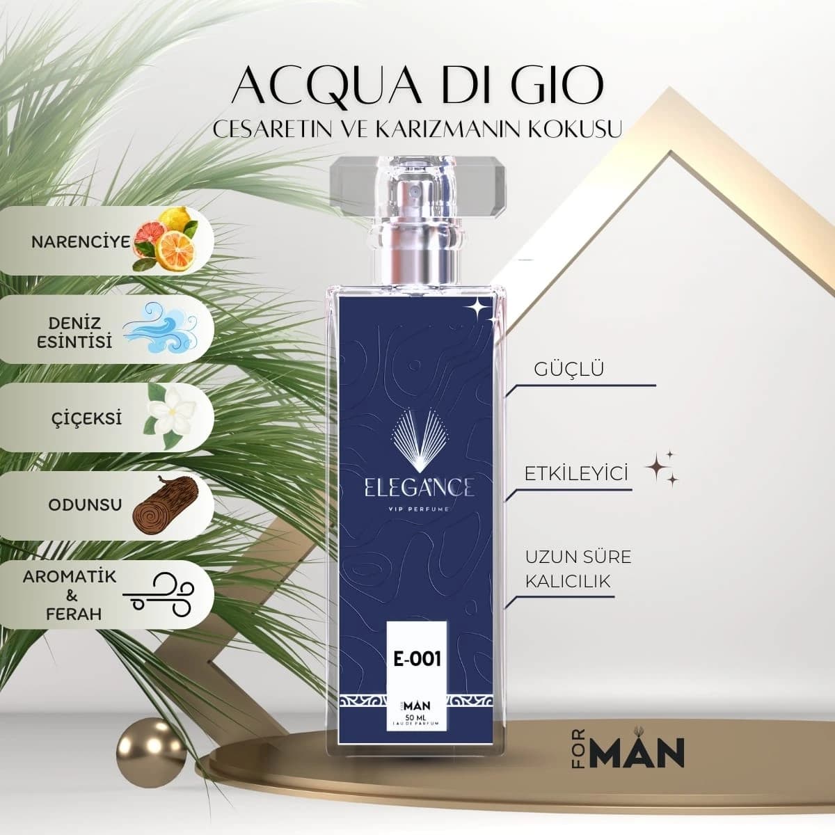 Aqua di Gio Edp 50 ml – Ferah ve Akvatik Erkek Parfümü (E-001)