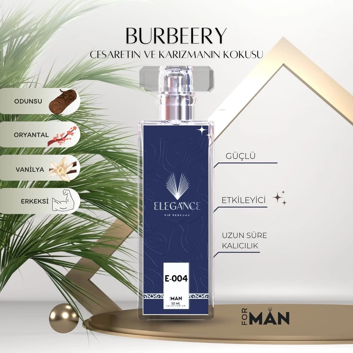 Burbeery Classic Edp 50 ml – Odunsu ve Klasik Erkek Parfümü (E-004)