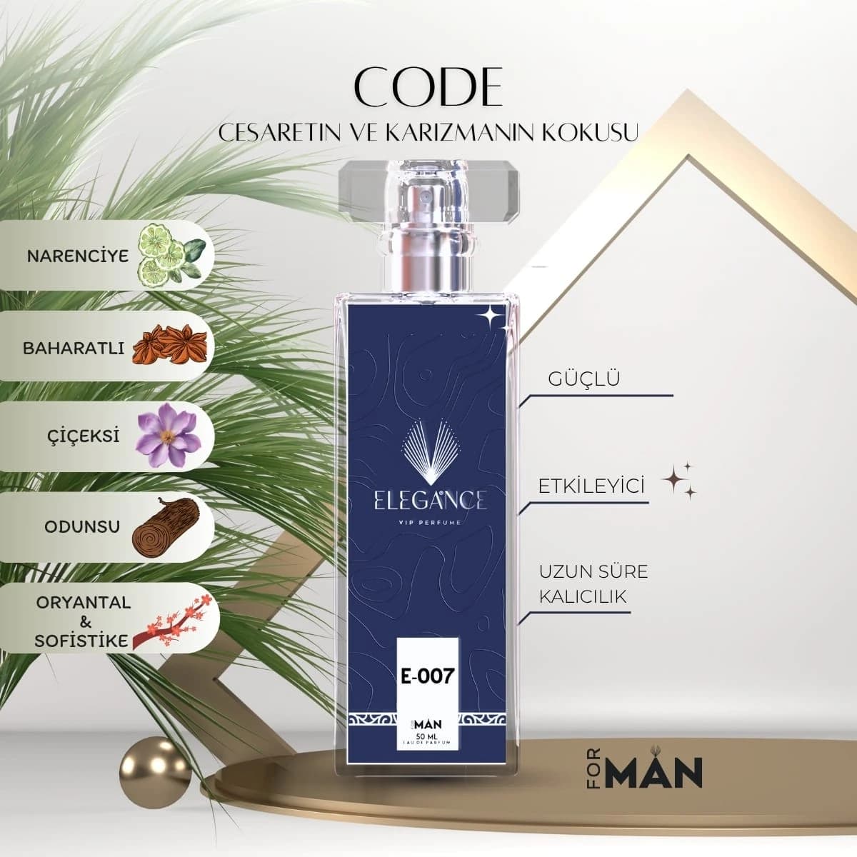 Code Edp 50 ml – Oryantal ve Baharatlı Erkek Parfümü (E-007)