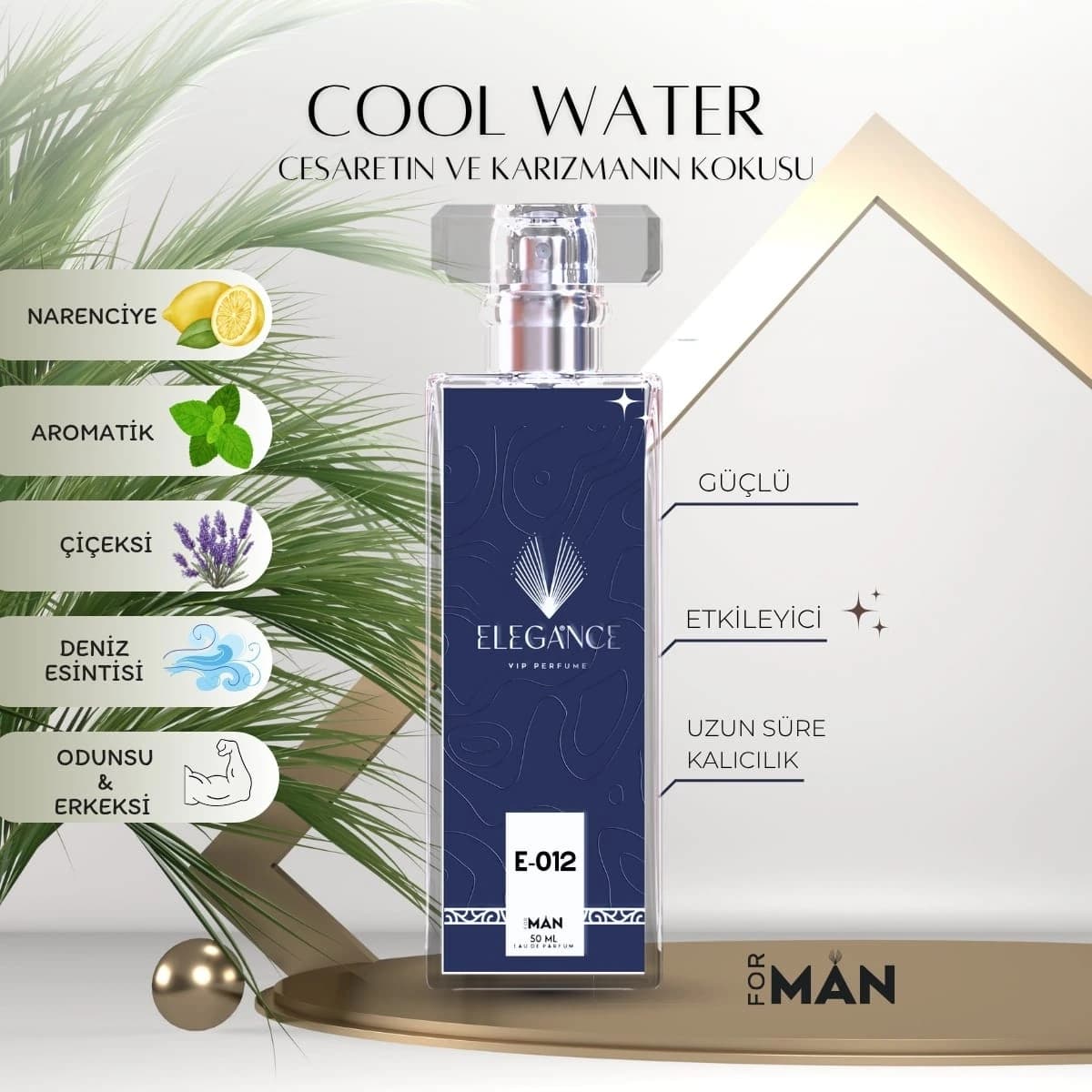 Cool Water Edp 50 ml – Ferah ve Akvatik Erkek Parfümü (E-012)