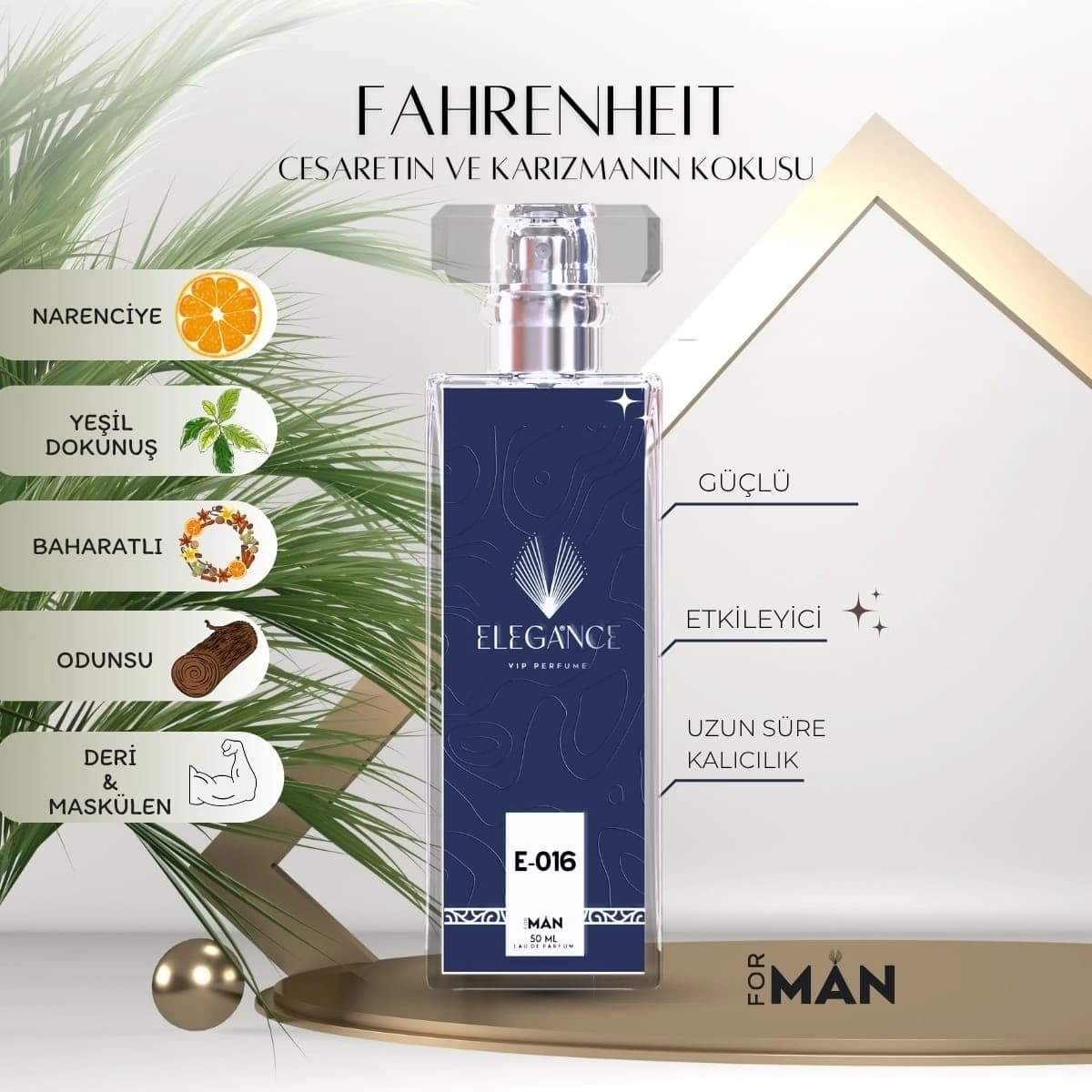 Fahrenheit Edp 50 ml – Odunsu ve Baharatlı Erkek Parfümü (E-016)