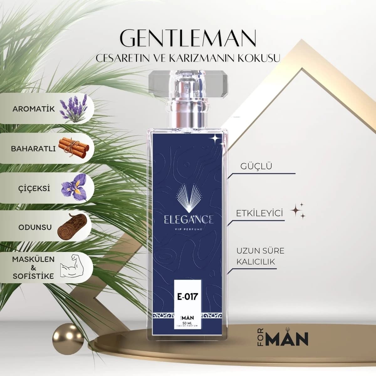 Gentleman Edp 50 ml – Odunsu ve Baharatlı Erkek Parfümü (E-017)