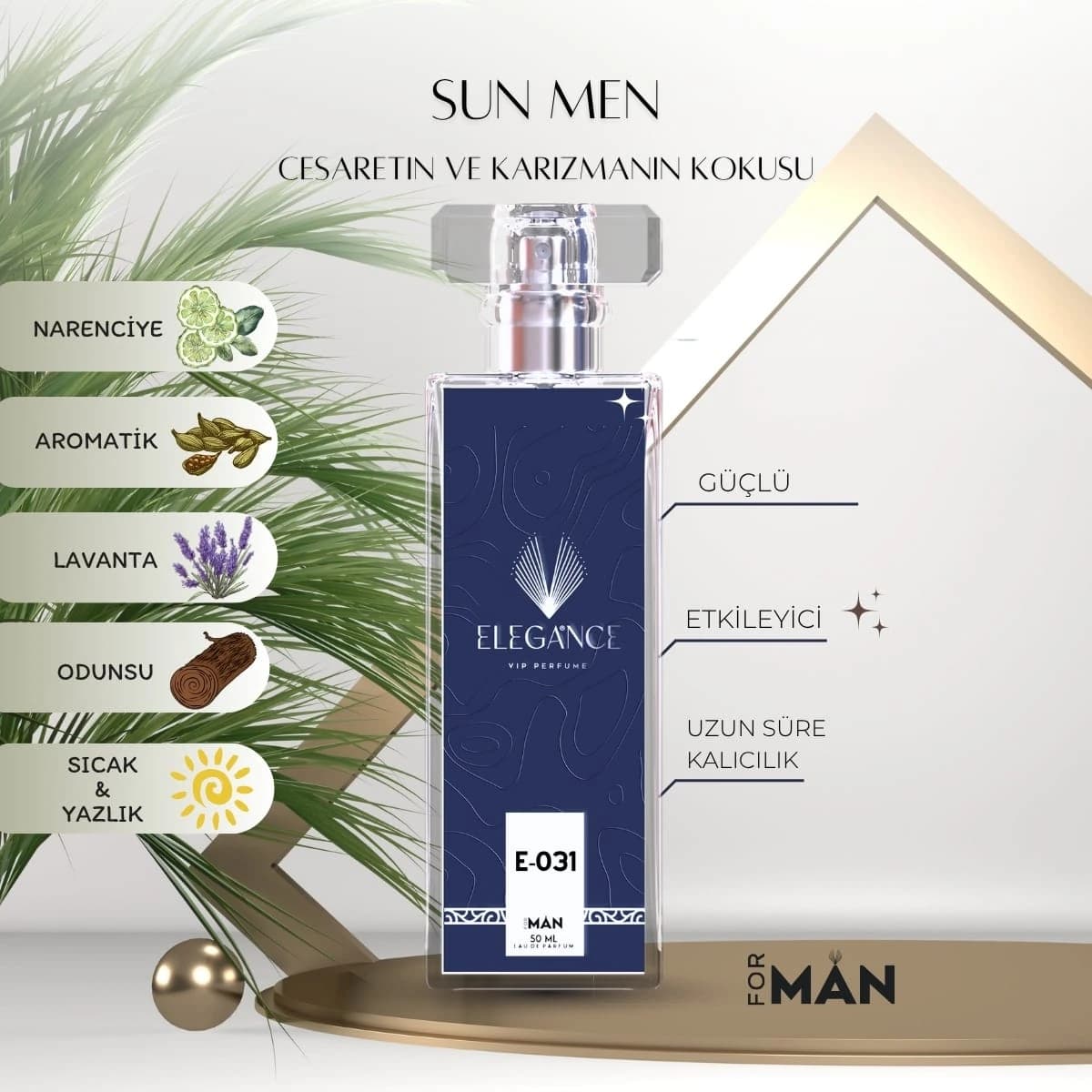 Sun Men Edp 50 ml – Ferah ve Enerjik Erkek Parfümü (E-031)