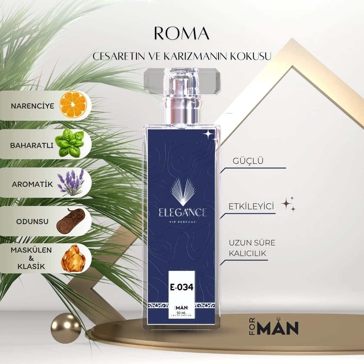 Roma Edp 50 ml – Oryantal ve Baharatlı Erkek Parfümü (E-034)