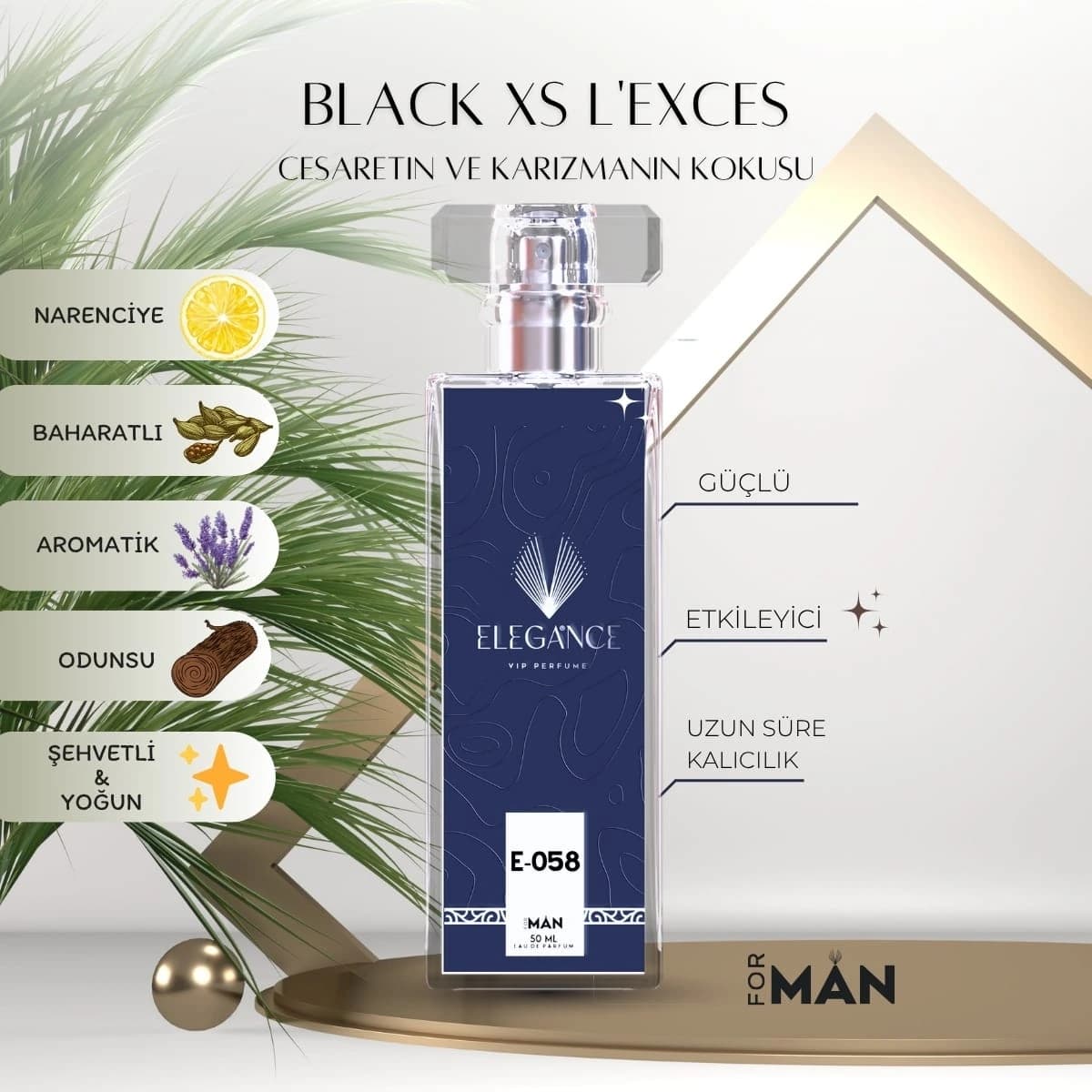 Black XS L’Exces Edp 50 ml – Oryantal ve Baharatlı Erkek Parfümü (E-058)