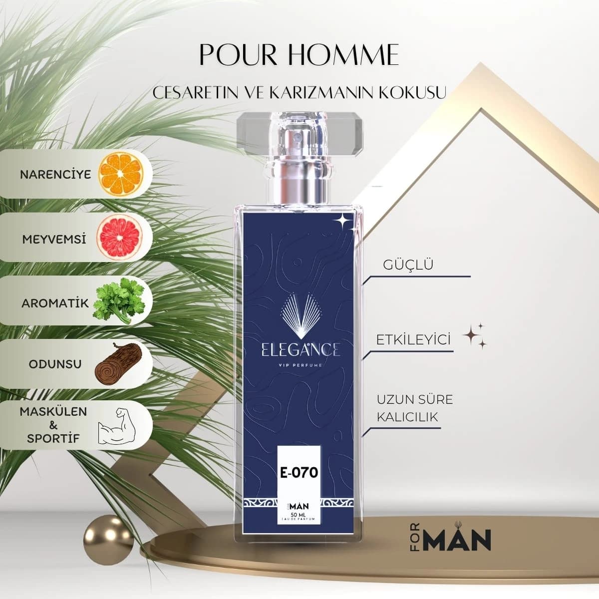 Pour Homme Edp 50 ml – Odunsu ve Ferah Erkek Parfümü (E-070)