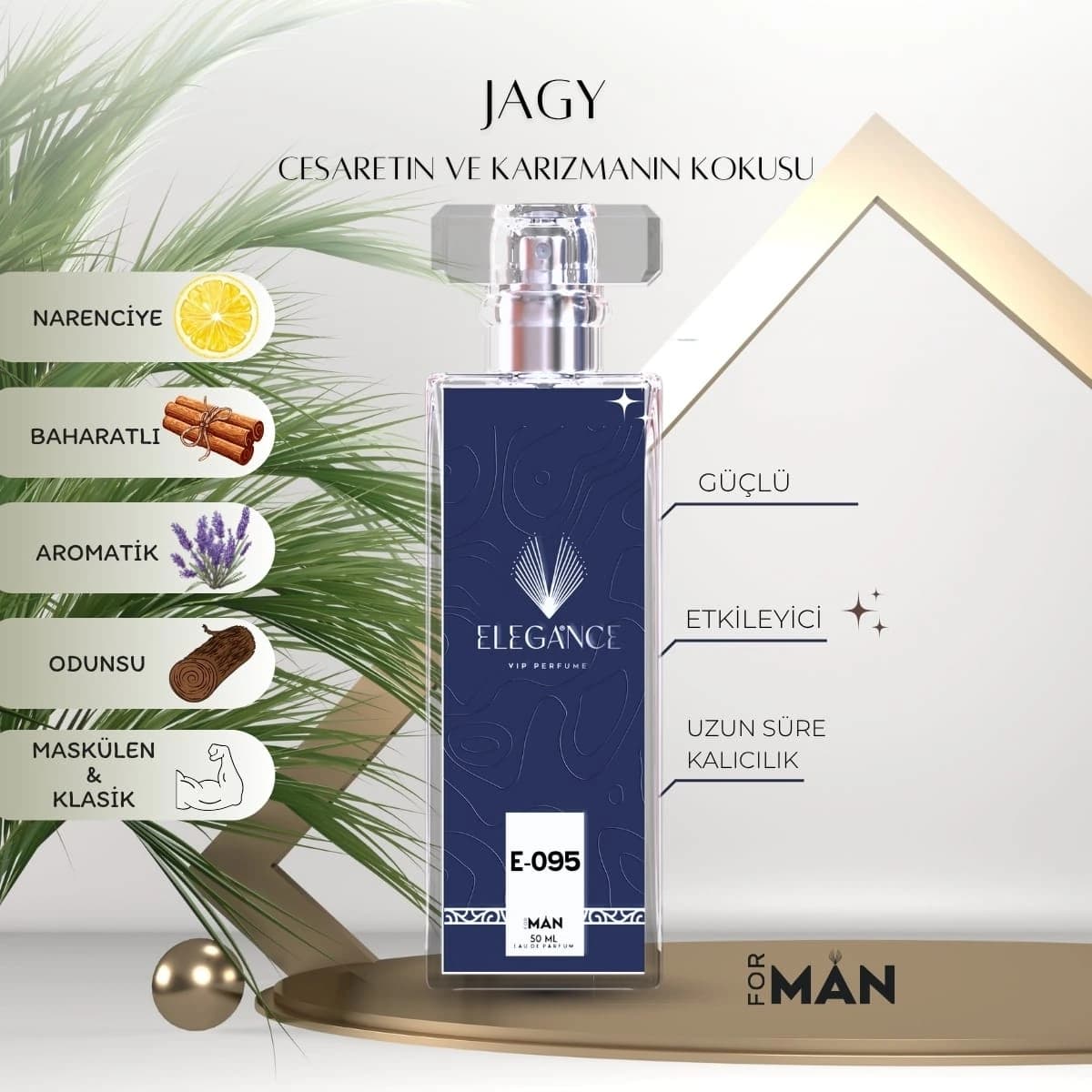 Jagy Edp 50 ml – Fresh ve Baharatlı Erkek Parfümü (E-095)