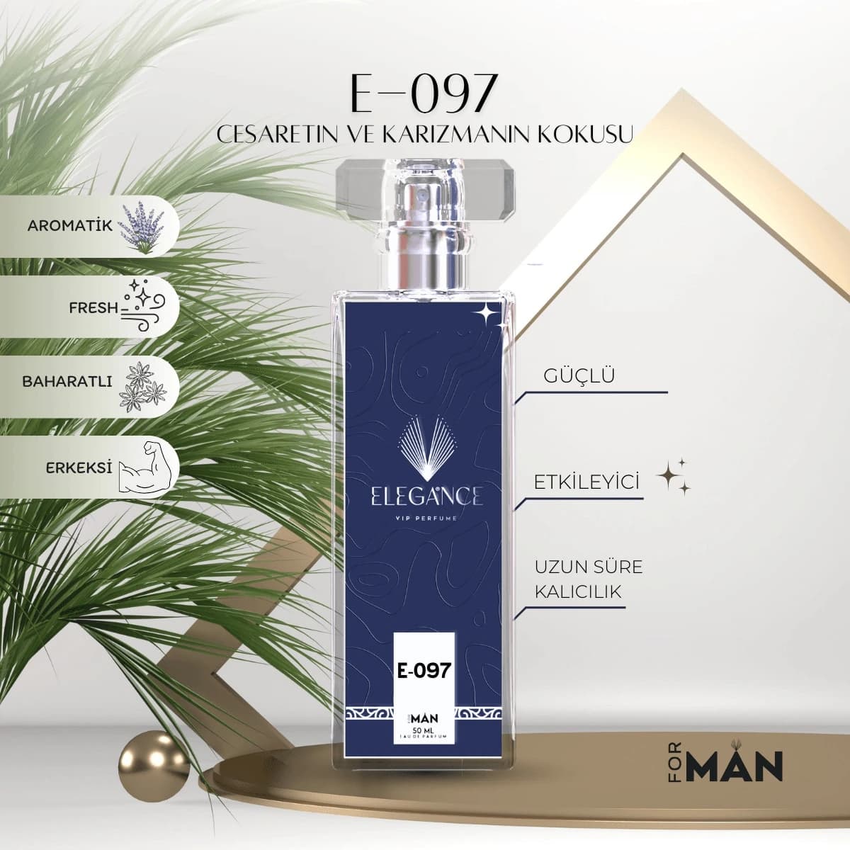 One Million Edp 50 ml – Erkek Parfümü (E-097)