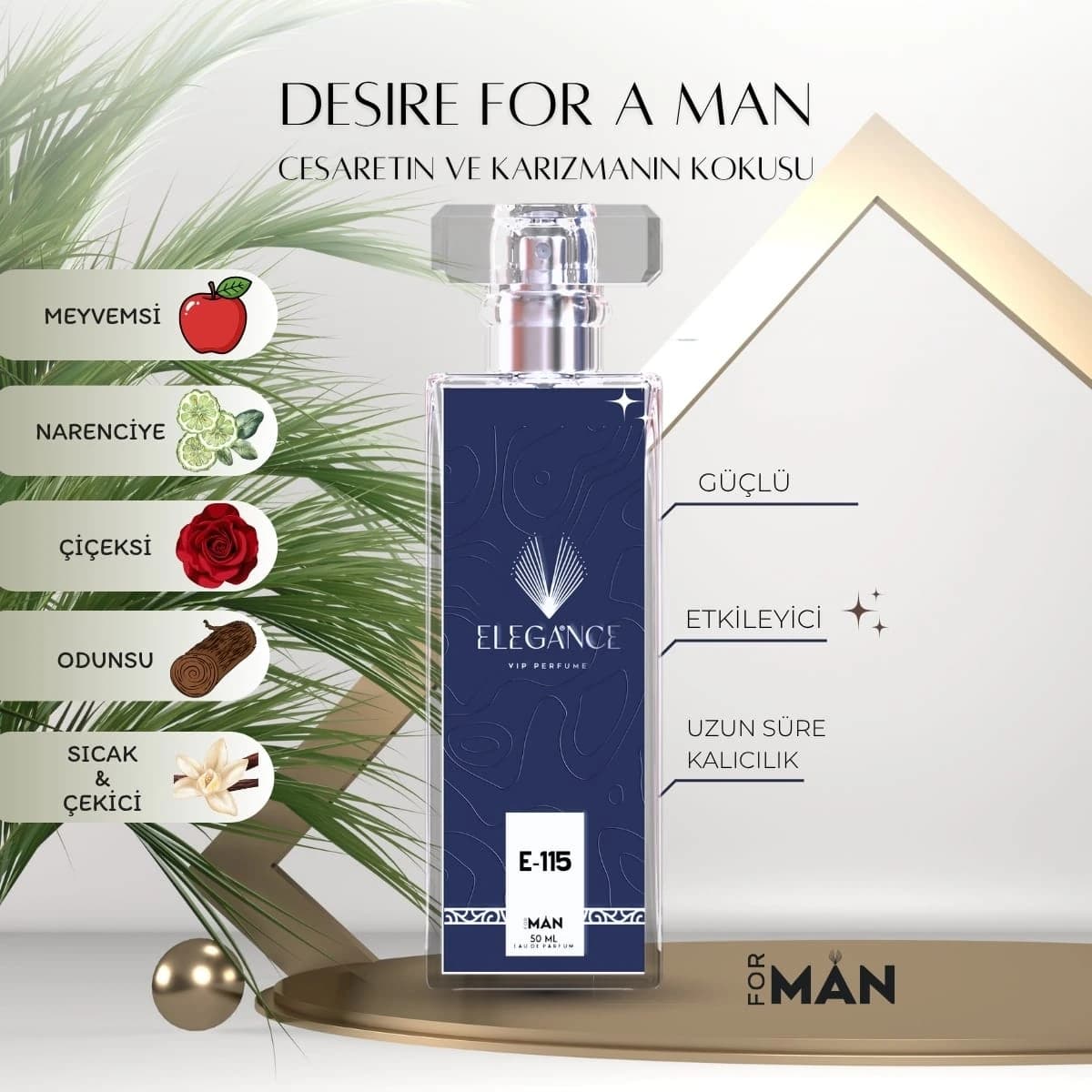 Desire For a Man Edp 50 ml – Odunsu ve Baharatlı Erkek Parfümü (E-115)