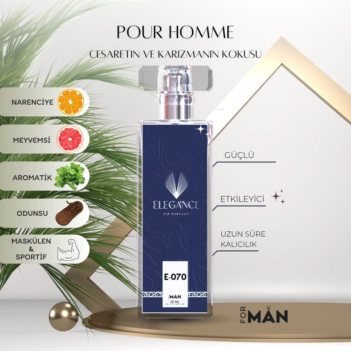 Pour Homme Edp 50 ml erkek parfümü – odunsu ve ferah koku (E-070)