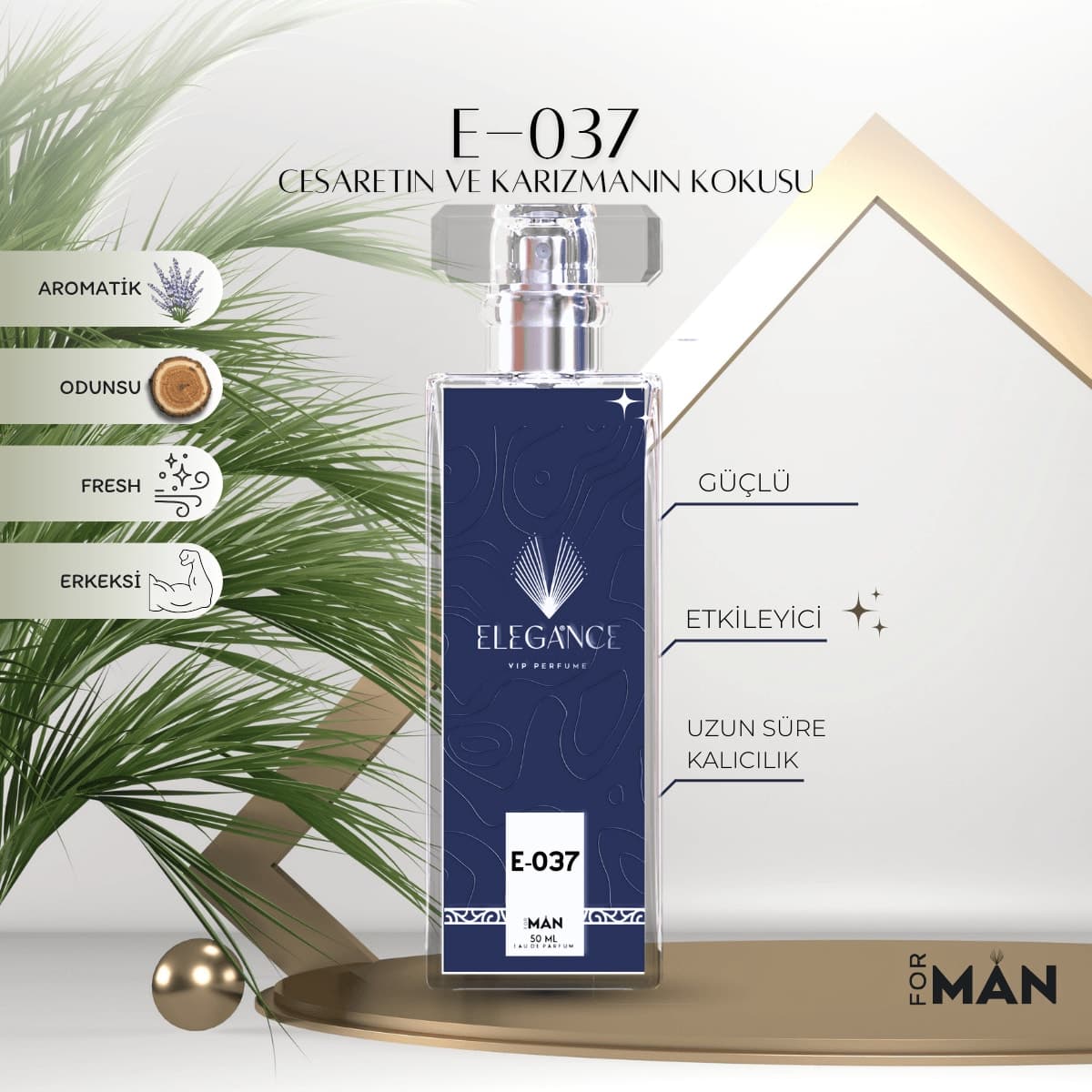 E-037 " Invictus " Eau De Parfum For Men