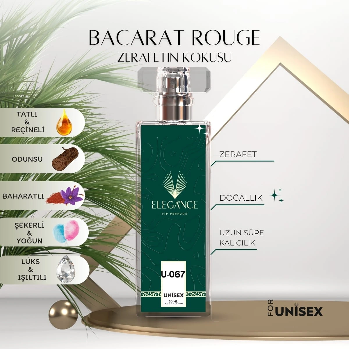 Parfümcü Açmak: Elegance VIP Perfume ile Başlayın