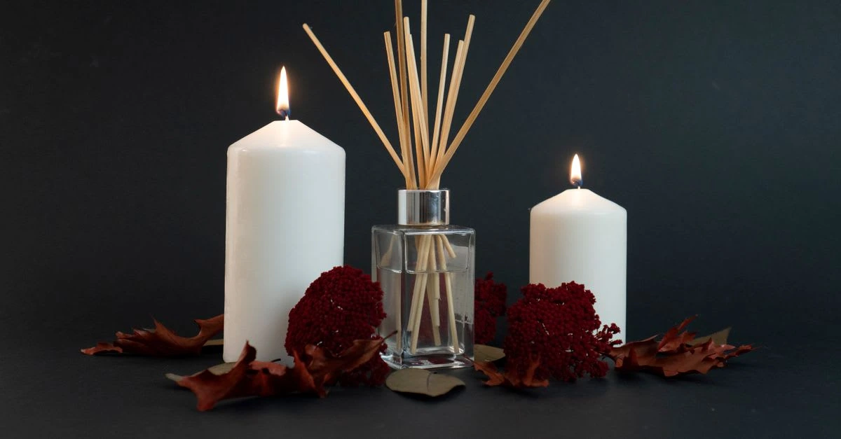 Reed Diffuser Ne Demek? Elegance Parfüm ile Tanışın