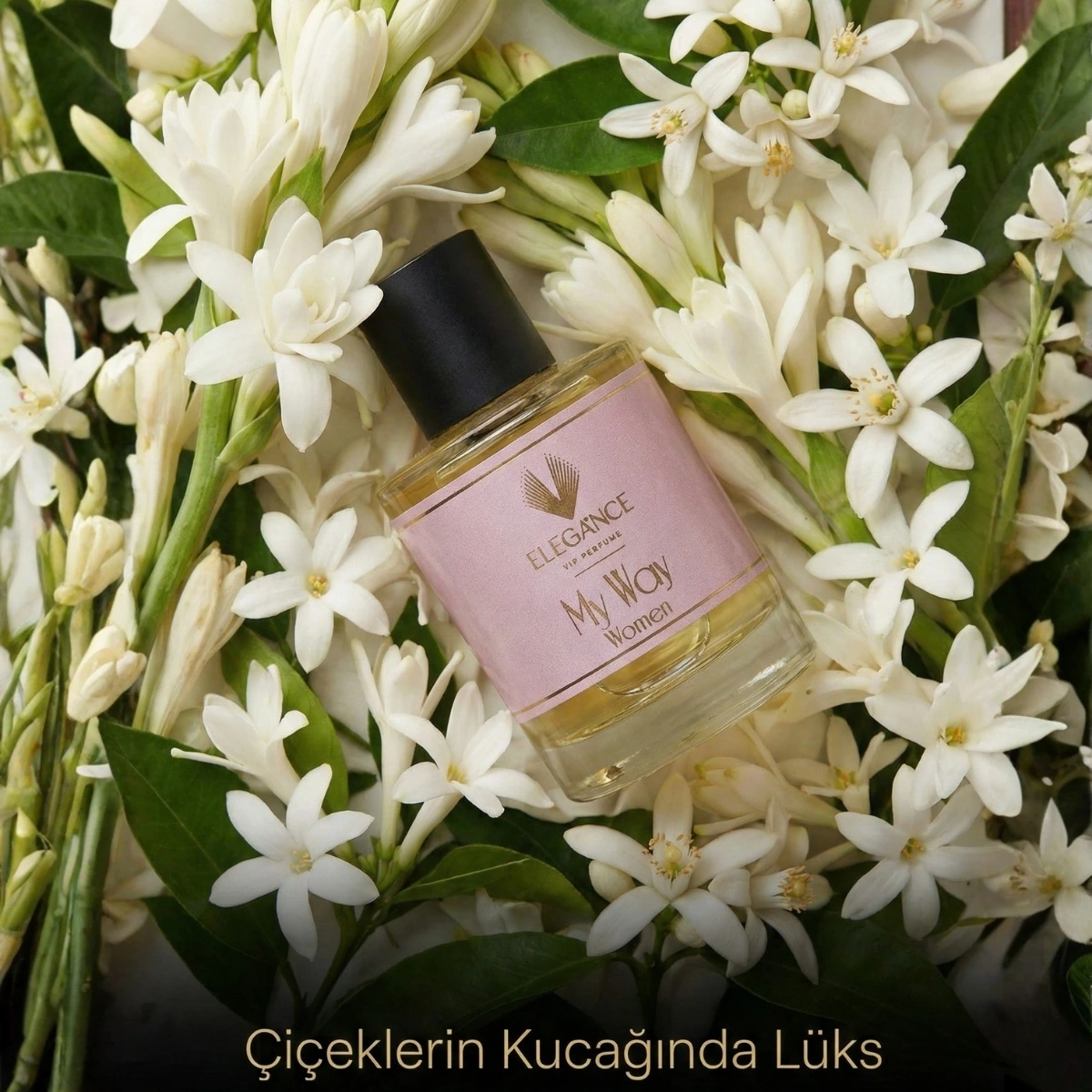 May vay Creasyon Edp 50 ml