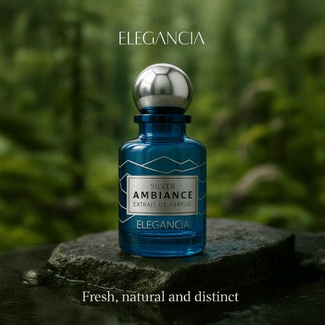 Elegancia_Silver_ambiance6