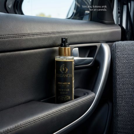 Elegancia_NewCar3