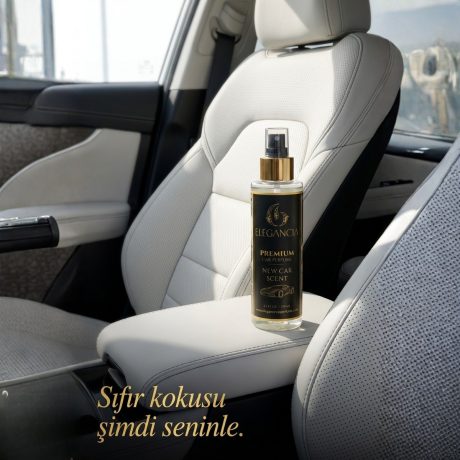 Elegancia_NewCar4